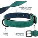 Didog Soft Padded Leather Dog Collar - Adjustable Green Collar for Small Medium & Large Dogs (XL: 40-50 cm) | Durable & Stylish - Buy Online on GoSupps.com