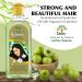 Dabur Amla Jasmine Hair Oil 200ml - Nourish & Strengthen Your Hair | International Shipping Available - Buy Online on GoSupps.com