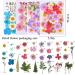 160pcs Dried Pressed Flowers for Resin Crafts - Bulk Natural Herbs Kit for DIY Art Projects - Epoxy Resin, Candle, Soap Making - Set A - Buy Online on GoSupps.com