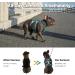 Huntboo No Escape Dog Harness Escape Proof Harness Fully Reflective Harness with Padded Handle Breathable Durable Adjustable Vest for Medium Dogs Walking Training and Running Gear (Teal M) Medium(Pack of 1) Blue - Buy Online on GoSupps.com