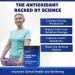 Bio-Enhanced Na R-Lipoic Acid Powder 50g | Stabilized R Alpha Lipoic Acid for Enhanced Absorption & Nerve Support | 30-Day Supply | International Shipping Available - Buy Online on GoSupps.com