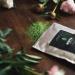 Organic Moya Matcha Tea Green Powder 100g - Premium Ceremonial Grade from Uji Japan | Ideal for Japanese Tea Ceremony | Vegan & Vegetarian Friendly - Buy Online on GoSupps.com
