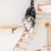 FUKUMARU Wall Mounted Cat Climbing Shelf - 4 Step Stairway with Jute Scratching Perch Platform - Buy Online on GoSupps.com
