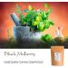 Black Mulberry Leaf Organic Quality - Buy Online on GoSupps.com