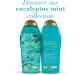 OGX Eucalyptus Mint Body Lotion 19.5 Fl Oz - Intensely Invigorating Formula - Buy Online on GoSupps.com