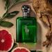 Ralph Lauren Polo Cologne Intense - Eau de Parfum - Men's Cologne - Citrus & Woody - With Grapefruit Sage and Patchouli - 4.2 Fl Oz - Buy Online on GoSupps.com