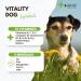 4-BEINER Vitality-Dog: 12 Multivitamins for Dogs Vitamin B Complex Vitamins A C E D Folic Acid Biotin Minerals Zinc Iron Manganese 100 Tablets - Buy Online on GoSupps.com