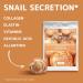 Orientana - Natural Silk Sheet Face Mask Snail Secretion & Collagen | Anti Ageing And Wrinkle Moisturiser | Acne Pigmentation Treatment | Hydrating Rejuvenating & Brightening - 1pc - Buy Online on GoSupps.com