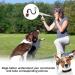 High-Frequency Dog Whistle & Clicker Set - R tter Refraction Training Tools for Barking Control & Recall - 2 Packs in Black & Red - Buy Online on GoSupps.com