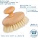 Redecker Natural Pig Bristle Massage Brush - Oiled Beechwood Knob - 3-7/8-Inches - Buy Online on GoSupps.com