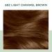 Clairol Natural Instincts 6BZ Light Caramel Brown Hair Color 5.85 Fl Oz - Pack of 3 - Buy Online on GoSupps.com