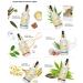 Buy Professional Hair Serum - Anti-Frizz & Color Protection - Nourish & Repair Damaged Hair (50ml) - Pure Natural Ingredients | International Shipping - Buy Online on GoSupps.com