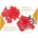KALLORY 6 Pcs Embroidery Appliqu Flower Decals Embroidery Paste Diy Craft Supply Folk- 3d - Buy Online on GoSupps.com