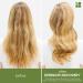 Biolage Strength Recovery Shampoo & Conditioner Set - Reduces Breakage, Vegan, Cruelty-Free | 13.5 Fl Oz - Buy Online on GoSupps.com