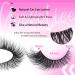 Fox Eye Lashes Wispy Eyelashes Natural Look Clear Band Lashes Fluffy Faux Mink Lashes Natural False Lashes Pack by GVEFETIEE 8 Pairs A- Natural - Buy Online on GoSupps.com