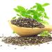10lb Organic Black Chia Seeds - Non-GMO, Sproutable, Vegan, Keto - Rich in Fatty Acids, Fiber, Protein - Ideal for Chia Pudding, Smoothies, Oatmeal - Buy Online on GoSupps.com