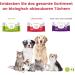 Buy Italian Biodegradable Chlorhexidine Towels for Pets | 50 Disposable Wet Cleaning Cloths for Dogs & Cats - Eco-Friendly Pet Care - Buy Online on GoSupps.com