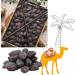 Palm Fruites BV Premium quality Medjoul Dates 5 kg 100 natural without added sugar healthy snack energy source 5 kg Medjoul dates - Buy Online on GoSupps.com