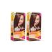 Garnier Movida Hair Color N 23 Chestnut - Pack of 2