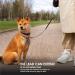 Extendable Dog Lead Heavy Duty Retractable Dog Lead Pet With One Handed Brake Release Button Easy Grip Handle Suitable For Small And Medium Dog Leash Outdoor Walking Training Pet Supplies 5M(1Pc) - Buy Online on GoSupps.com