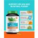 Zenwise Health No Bloat Probiotic - DE111, 60 Veggie Capsules for Digestive Relief - Buy Online on GoSupps.com
