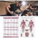 Saluaqui Fitness Workout Poster - Resistance Band Training & Muscle Anatomy for Home Gym | Effective All-Off Exercises with Clear Images - Buy Online on GoSupps.com