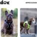 DDOXX Reflecting Airmesh Step-in Dog Harness - Adjustable Puppy Vest for All Sizes - Medium (Brown) - Breast Size 38-43 cm - Buy Online on GoSupps.com