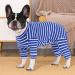 Buy Axcimond Dog One-Divider Long-Sleeved Body for Small & Medium Dogs - Post-Op Wound Protection & Anti-Leak Pajama - Alternative to Dog Cone in Blue - Buy Online on GoSupps.com