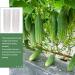 CALLARON Garden Fruit Mould 2pcs Vegetable Shaping Mold Clear Fruit Star Cucumber Mold Garden Cucumber Mold Flower Shape - Buy Online on GoSupps.com