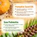 2 Pack Pumpkin Seed Oil Gummies with Saw Palmetto Pumpkin Seed Oil for Hair Growth Skin Health and Immune Support Pumpkin Seed Extract for Women Men Sugar-Free Raspberry Flavor 120 Count 60 Count (Pack of 2) - Buy Online on GoSupps.com