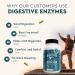 Ancestral Supplements Digestive Enzymes for Women & Men 90 Capsules with Probiotics and Grass Fed Beef Organs Supports Gut Health Digestive Health & Nutrient Absorption Allergen Free Non GMO Digestive Enzymes 180 Coun  - Buy Online on GoSupps.com