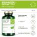 Buy LIFEWIZE 180 Nettle Capsules - 900mg Pure Nettle Extract - Vegan Drainage Solution - Lab Tested International Shipping Available - Buy Online on GoSupps.com