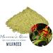 Marcia s Own Milkweed Herbal Tea Powder - Artisanal 100% Pure from Jamaica 1 oz / 28.3 g (40 Servings) - Buy Online on GoSupps.com