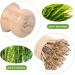 Bamboo Dish Brush - 3 Pcs Hard Natural Bamboo Wok Brush Dish Scrub Brush Pot Scrubber Dish Scrubber Brush Dishwashing Brush for Cleaning Pans Pots and Sink 3 Pcs Hard Brush - Buy Online on GoSupps.com