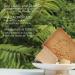LYNPHA VITALE Aleppo Soap Bar - Handmade Organic Soap with Olive Oil & 16% Laurel Oil - Ideal for Sensitive Skin - 200 gr - Buy Online on GoSupps.com