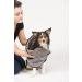 Dog Gone Smart Grey Dirty Dog Shammy Drying Towel - Buy Online on GoSupps.com
