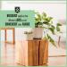 Schrader Wood Polish Light - Premium Furniture Polish for Varnished Wood - 250ml - Made in Germany - Freshen Your Furniture Today! - Buy Online on GoSupps.com