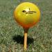 Chromax High Visibility Golf Balls 6-Pack in Gold - Stand Out on the Course! - Buy Online on GoSupps.com