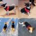 Shinmax Waterproof Winter Dog Jacket | Warm & Padded Coat for Small Medium & Large Dogs | Ultimate Protection for Pets - Buy Online on GoSupps.com