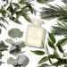 Aromatherapy Associates Support Breathe Bath & Shower Oil 55ml - Pine, Tea Tree, and Eucalyptus Essential Oils for Soothing Vapours - Buy Online on GoSupps.com