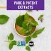 New Chapter Holy Basil Force with Supercritical Holy Basil for Immune Support + Mood Support + Non-GMO Ingredients - 60 ct Vegetarian Capsules 60 count (Pack of 1) - Buy Online on GoSupps.com