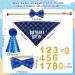 Dacitiery Dog Birthday Party Supplies - Plaid Bandana, Hat, Bow Tie Collar & Number Set for Medium Large Puppies - Buy Online on GoSupps.com