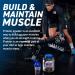 Applied Nutrition Critical Whey Protein Powder - High Protein Muscle Building Supplement with BCAAs & Glutamine (Strawberry 450g) - Buy Online on GoSupps.com