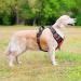Adjustable No-Pull Dog Harness for Large Breeds - Heele Reflective & Breathable XL in Red (53-97cm) - Buy Online on GoSupps.com