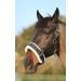 T TEKE Lunge Cavesson - Black Full Size with Fleece Lined Nose Band - Buy Online on GoSupps.com