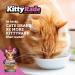 KittyRade Isotonic Drink for Cats | Electrolytes & Nutrients | YummyRade Variety Option | Fast Hydration & Low Calorie (250ml x 3) - Buy Online on GoSupps.com