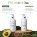 EVA + AVO Shampoo and Conditioner Set | Hydrating Avocado Oil & Wild Rosemary for All Hair Types | 8 Fl Oz Duo - International Shipping Available - Buy Online on GoSupps.com