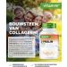 VitamineVersand 24 LProline 365 capsules Highly dosed with 1000mg per daily portion Pure amino acid obtained through fermentation No additives vegan - Buy Online on GoSupps.com