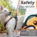 Adjustable No Pull Dog Harness - Padded Front Puppy Vest with Handle - Reflective Breathable Mesh for Outdoor Adventures - Comfort Control - Orange (1 Pack) - Buy Online on GoSupps.com