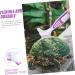 SUPVOX Turtle Shell Cleaning Brush - 4pcs Fish Tank & Tortoise Accessories | Effective Mud & Hair Cleaner (16x5cm - Buy Online on GoSupps.com